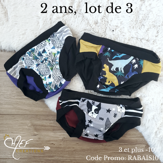 Culottes 2 ans, lot de 3, prêt-à-partir : ananas, dinosaures colorés et chiens